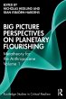 Big Picture Perspectives on Planetary... - Bild 1