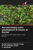 Aeromicologia sulla piantagione di limoni di Kachai