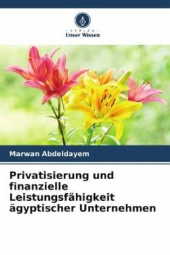 Privatisierung und finanzielle Leistungsfähigkeit ägyptischer Unternehmen - Abdeldayem, Marwan