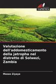 Valutazione dell'addomesticamento della jatropha nel distretto di Solwezi, Zambia