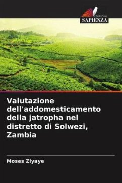 Valutazione dell'addomesticamento della jatropha nel distretto di Solwezi, Zambia - Ziyaye, Moses