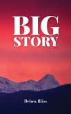 Big Story (eBook, ePUB)