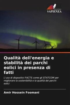 Qualità dell'energia e stabilità dei parchi eolici in presenza di fatti - Foomani, Amir Hossein