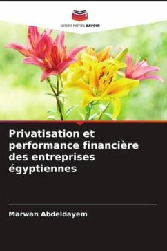 Privatisation et performance financière des entreprises égyptiennes - Abdeldayem, Marwan