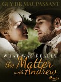 What was Really the Matter with Andrew (eBook, ePUB)