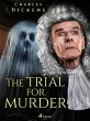 The Trial for Murder (eBook, ePUB) - Bild 1