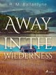 Away in the Wilderness (eBook, ePUB) - Bild 1
