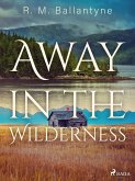 Away in the Wilderness (eBook, ePUB)
