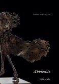 Abblende (eBook, ePUB)