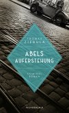 Abels Auferstehung / Paul Stainer Bd.2 (Mängelexemplar)