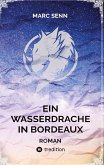 EIN WASSERDRACHE IN BORDEAUX