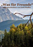 Was für Freunde (eBook, ePUB)