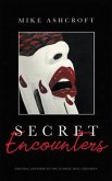 Secret Encounters (eBook, ePUB)