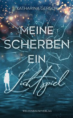 Meine Scherben ein Lichtspiel - Gersch, Katharina