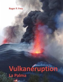 Vulkaneruption - Frey, Roger P.