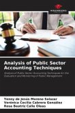 Analysis of Public Sector Accounting Techniques