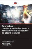 Approches computationnelles pour la découverte de structures de plomb naturel