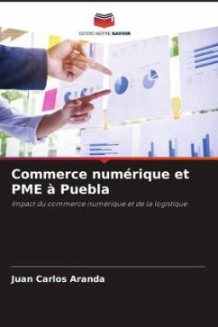 Commerce numérique et PME à Puebla - Aranda, Juan Carlos