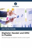 Digitaler Handel und KMU in Puebla