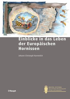 Einblicke in das Leben der Europäischen Hornisse (eBook, PDF) - Kornmilch, Johann-Christoph; Kerth, Gerald