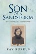 Son of a Sandstorm - Bild 1