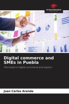 Digital commerce and SMEs in Puebla - Aranda, Juan Carlos