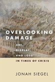 Overlooking Damage (eBook, PDF)
