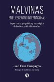 Malvinas en el escenario internacional. Importancia geopolítica y estratégica de las islas y del Atlántico Sur (eBook, ePUB)