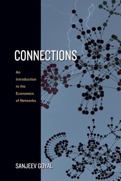 Cover Connections - An Introduction to the Economics of Networks (eBook, PDF)