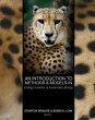Introduction to Methods and Models in... - Bild 1