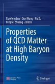 Properties of QCD Matter at High Baryon Density