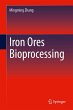 Iron Ores Bioprocessing - Bild 1