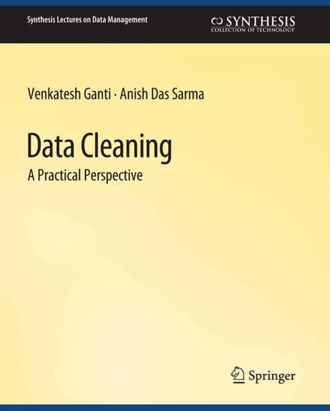 Data Cleaning (eBook, PDF)