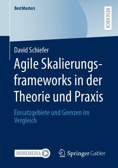 Agile Skalierungsframeworks in der Theorie und Praxis (eBook, PDF) - Schiefer, David