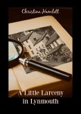 A Little Larceny in Lynmouth (Book 1) (eBook, ePUB)