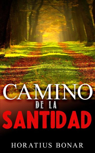 Camino de la santidad (eBook, ePUB)