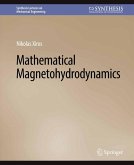 Mathematical Magnetohydrodynamics (eBook, PDF)