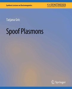 Cover Spoof Plasmons (eBook, PDF)