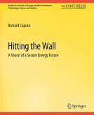 Hitting the Wall (eBook, PDF)