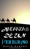Andanzas de un peregrino (eBook, ePUB) Andanzas de un peregrino (eBook, ePUB)