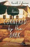 Cornered by the Dark (eBook, ePUB)