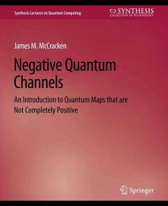 Negative Quantum Channels (eBook, PDF) - McCracken, James M.