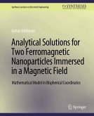 Analytical Solutions for Two Ferromagnetic Nanoparticles Immersed in a Magnetic Field (eBook, PDF) Analytical Solutions for Two Ferromagnetic Nanoparticles Immersed in a Magnetic Field (eBook, PDF)