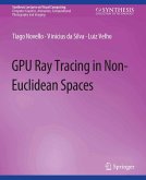 GPU Ray Tracing in Non-Euclidean Spaces (eBook, PDF)