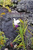 Les fournaises du passé (eBook, ePUB)