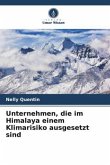 Unternehmen, die im Himalaya einem Klimarisiko ausgesetzt sind