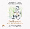 Das Geheimnis der Buddha-Katze - Bild 1