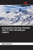 Companies facing climate risk in the Himalayan region