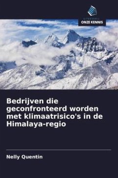 Cover Bedrijven die geconfronteerd worden met klimaatrisico's in de Himalaya-regio