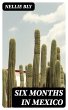 Six Months in Mexico (eBook, ePUB) - Bild 1
